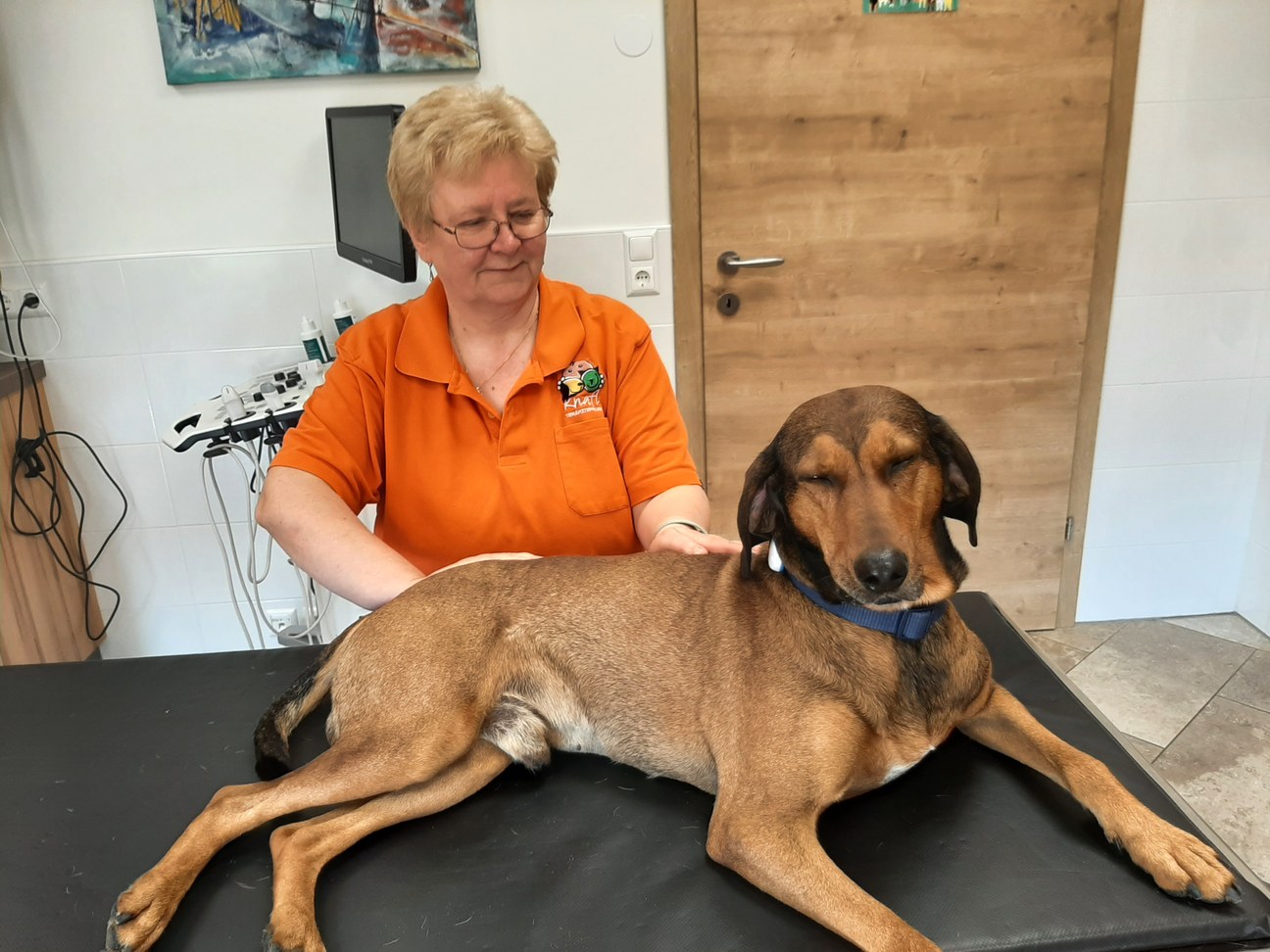 Indikationen für Osteopathie